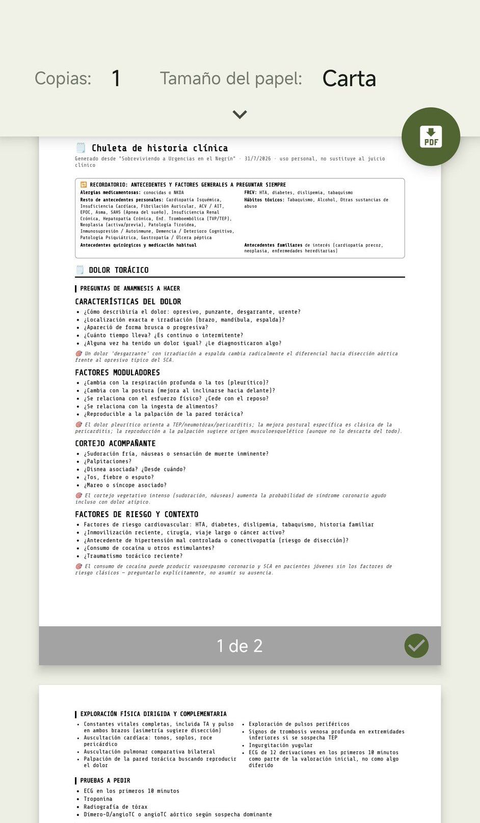 Resultado: PDF de la chuleta generado